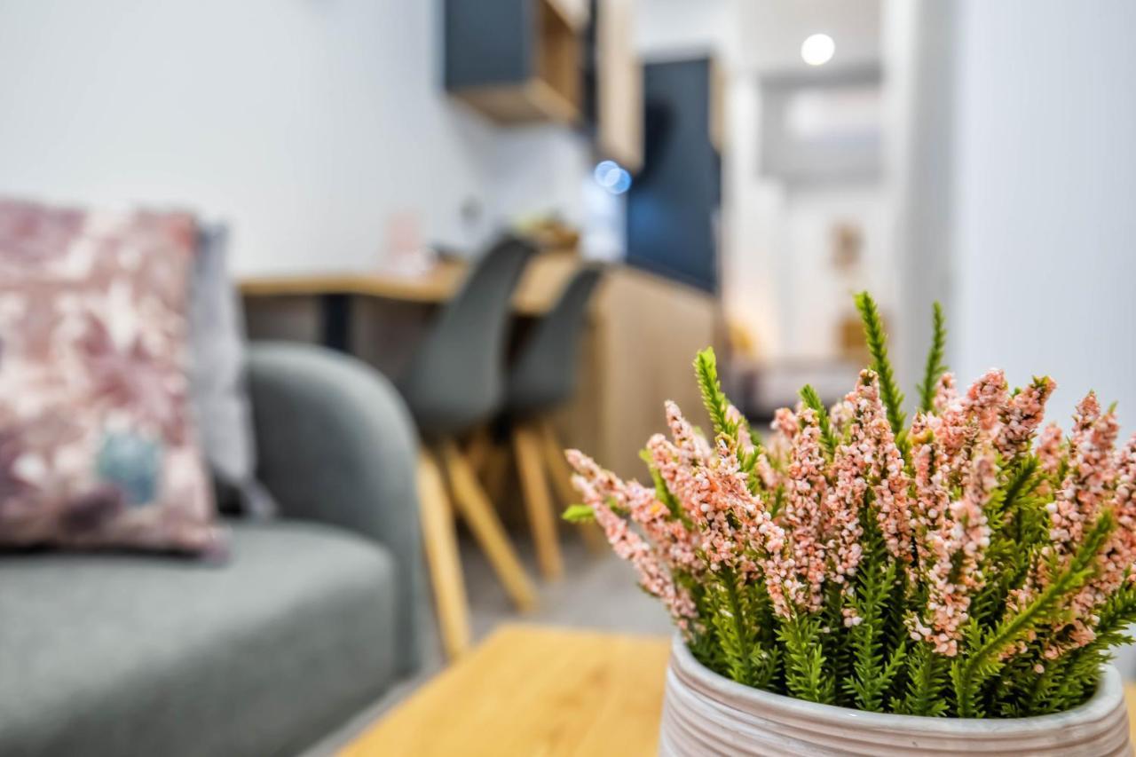 Garesc Lofts Apartament Kordoba