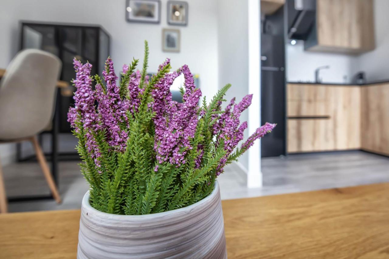 Garesc Lofts Appartement *