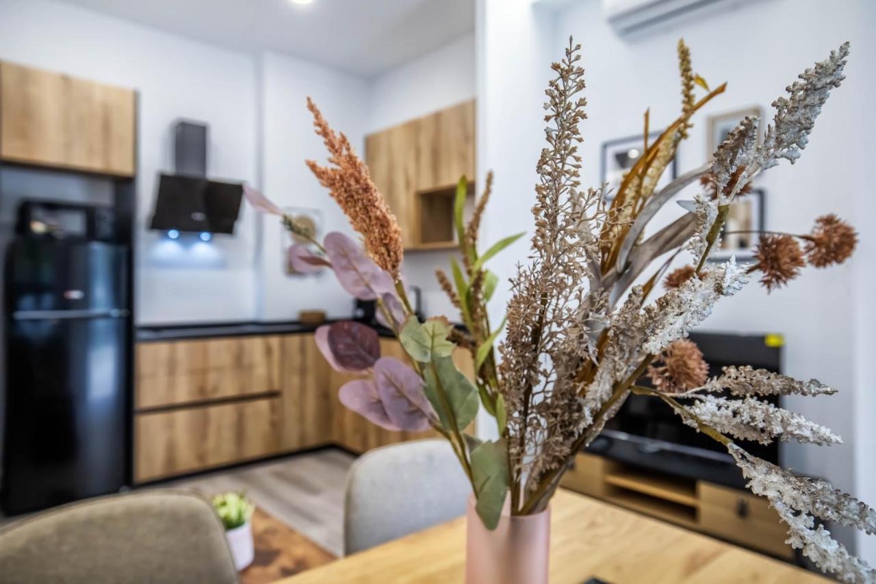 Garesc Lofts Apartment *